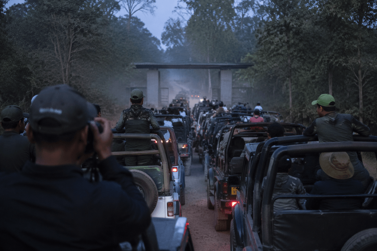 Field craft, gear, and ethical shots
